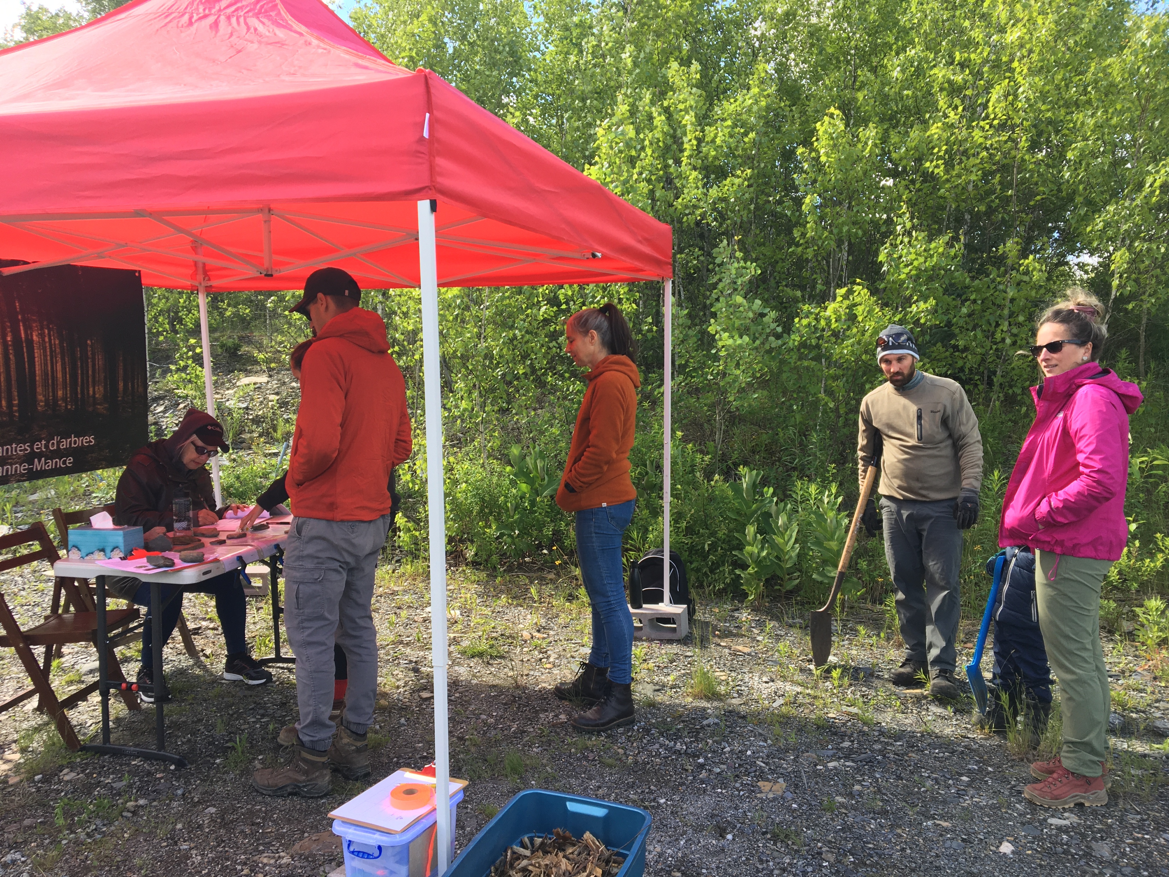Cueillette gratuite d'arbres et plantes indigènes à Sherbrooke