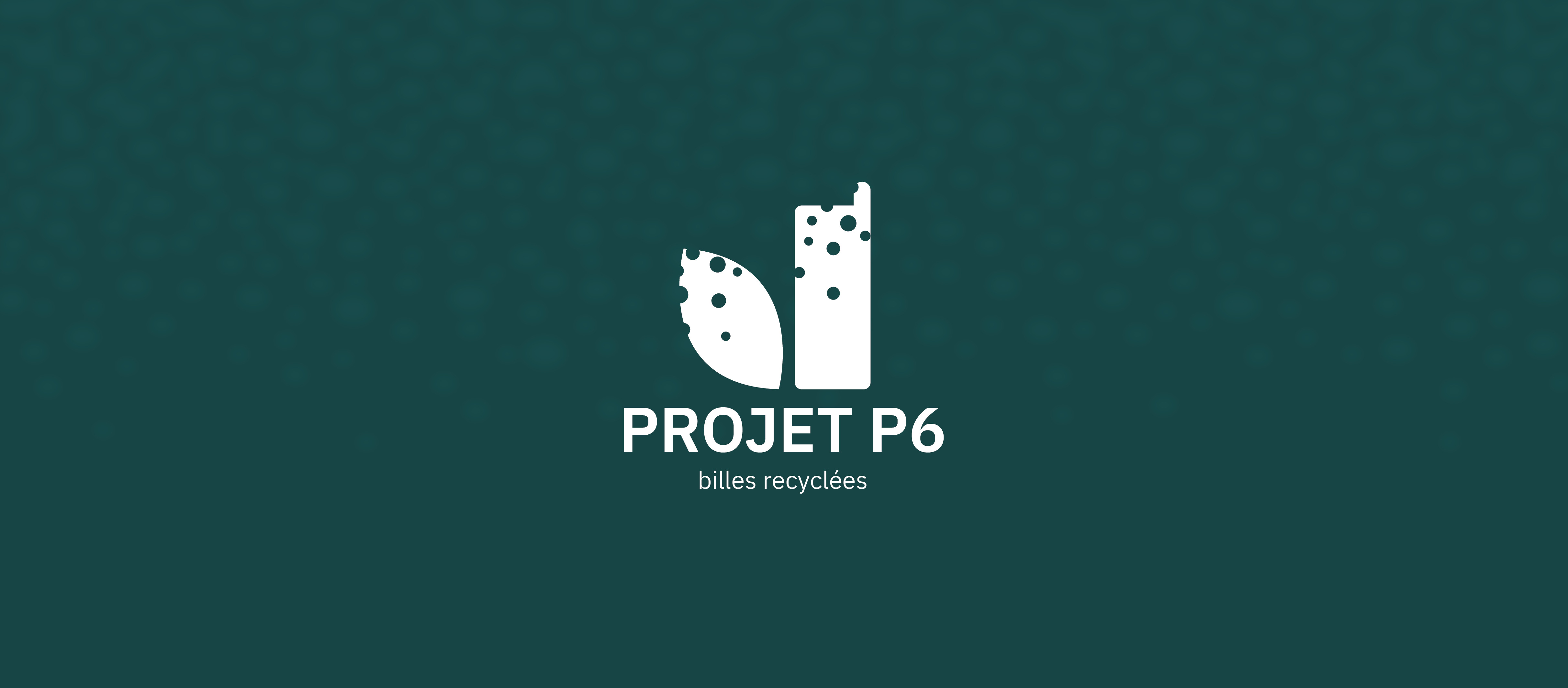 Projet P6 