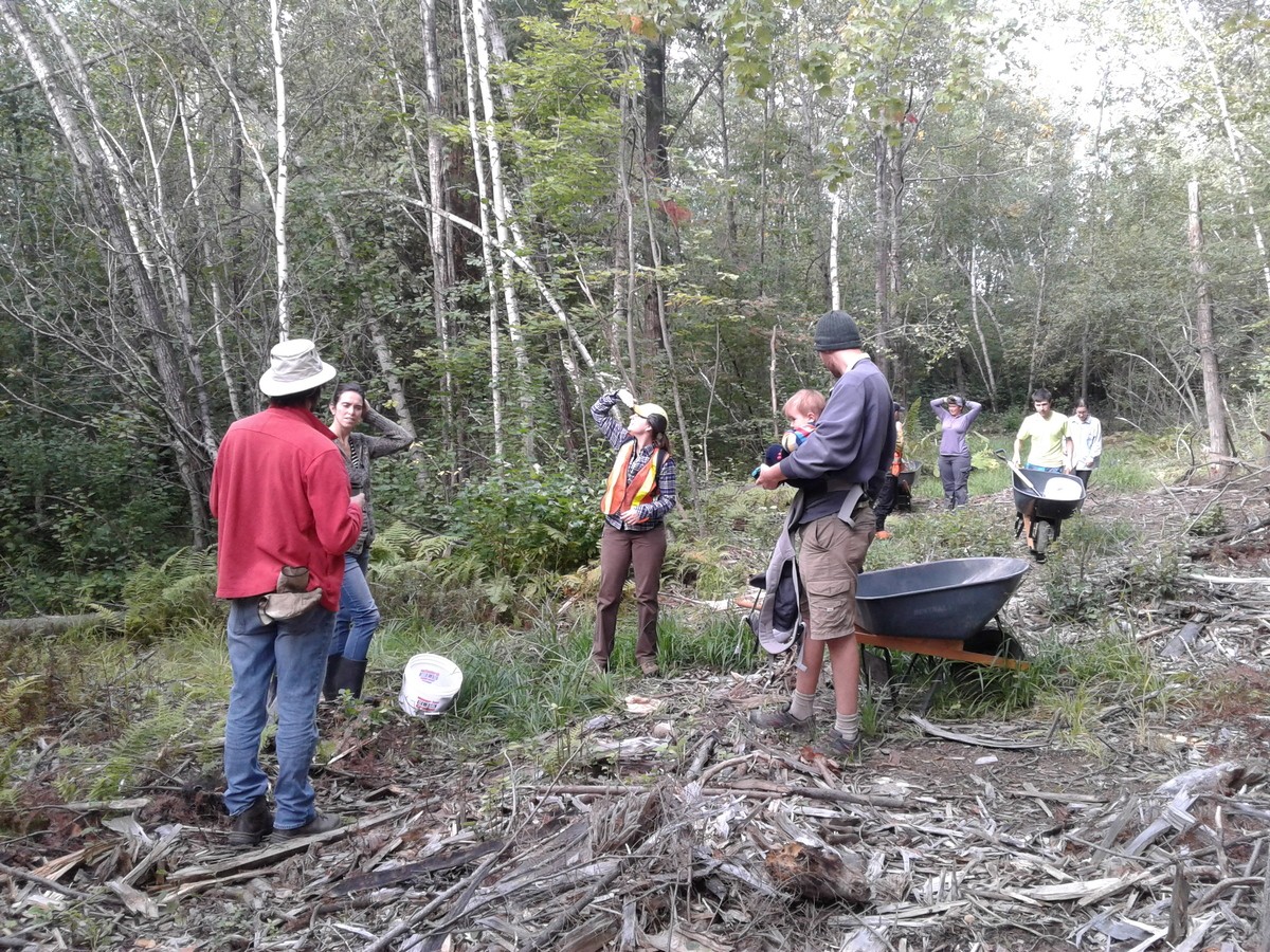 Cueillette gratuite d'arbres et plantes indigènes à Sherbrooke
