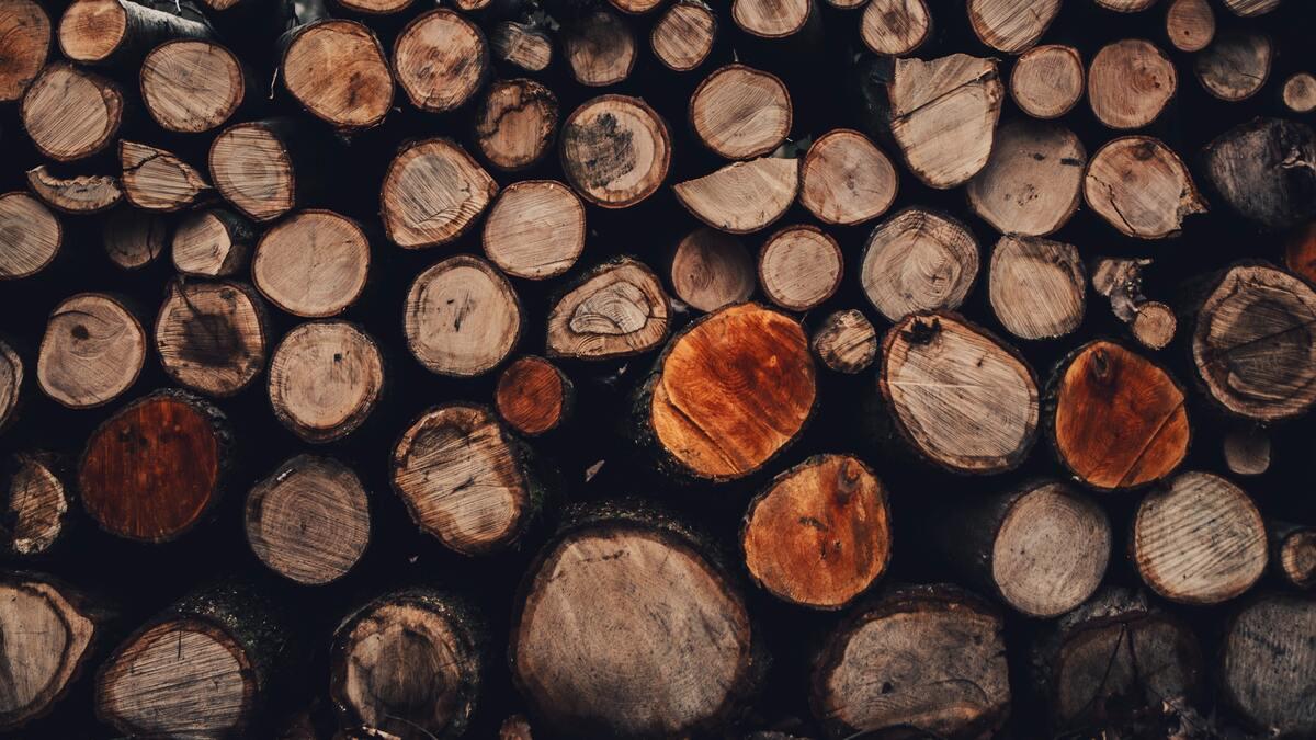 La foresterie: une industrie circulaire ?