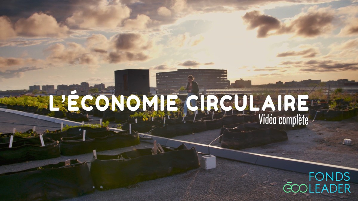 Plongez dans l'univers de l'économie circulaire: l'exemple des drêches des microbrasseries montréalaises!