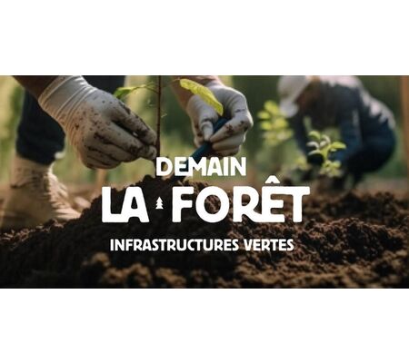 Webinaire | Valoriser les terres agricoles en friche: plantation et services écosystémiques au Québec 