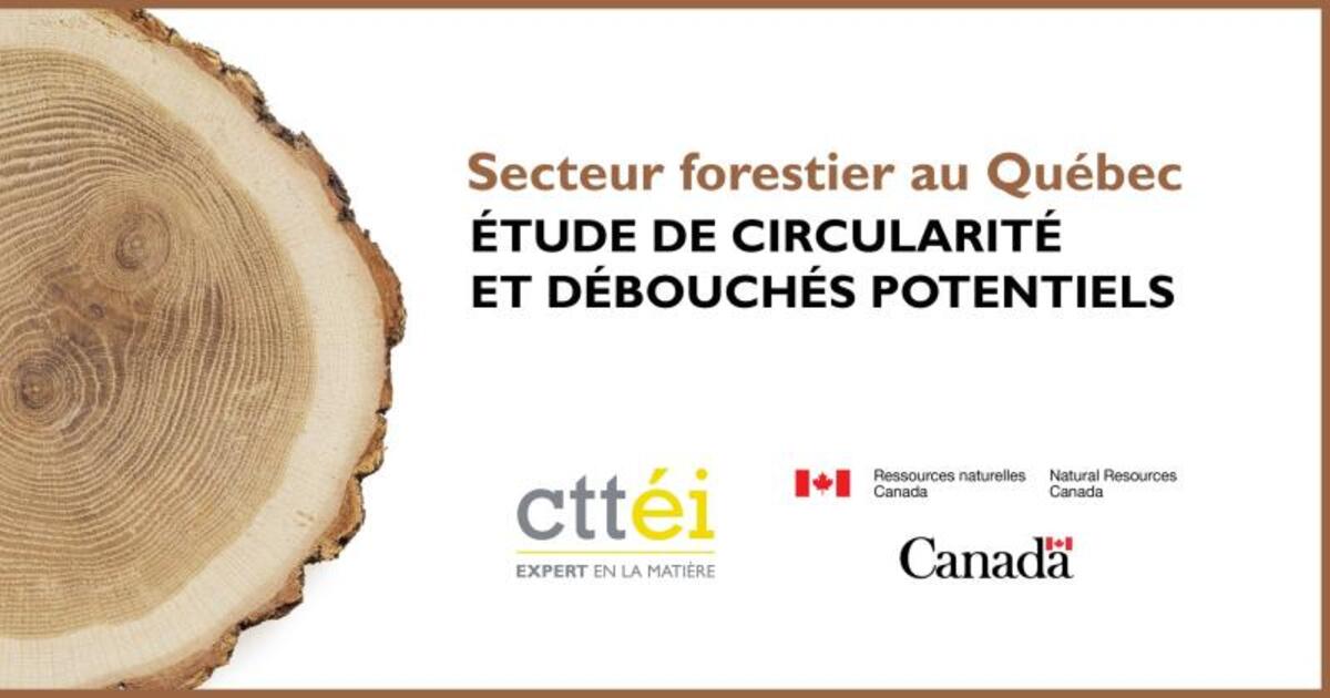 Le secteur forestier québécois: plus circulaire qu'on ne le pense
