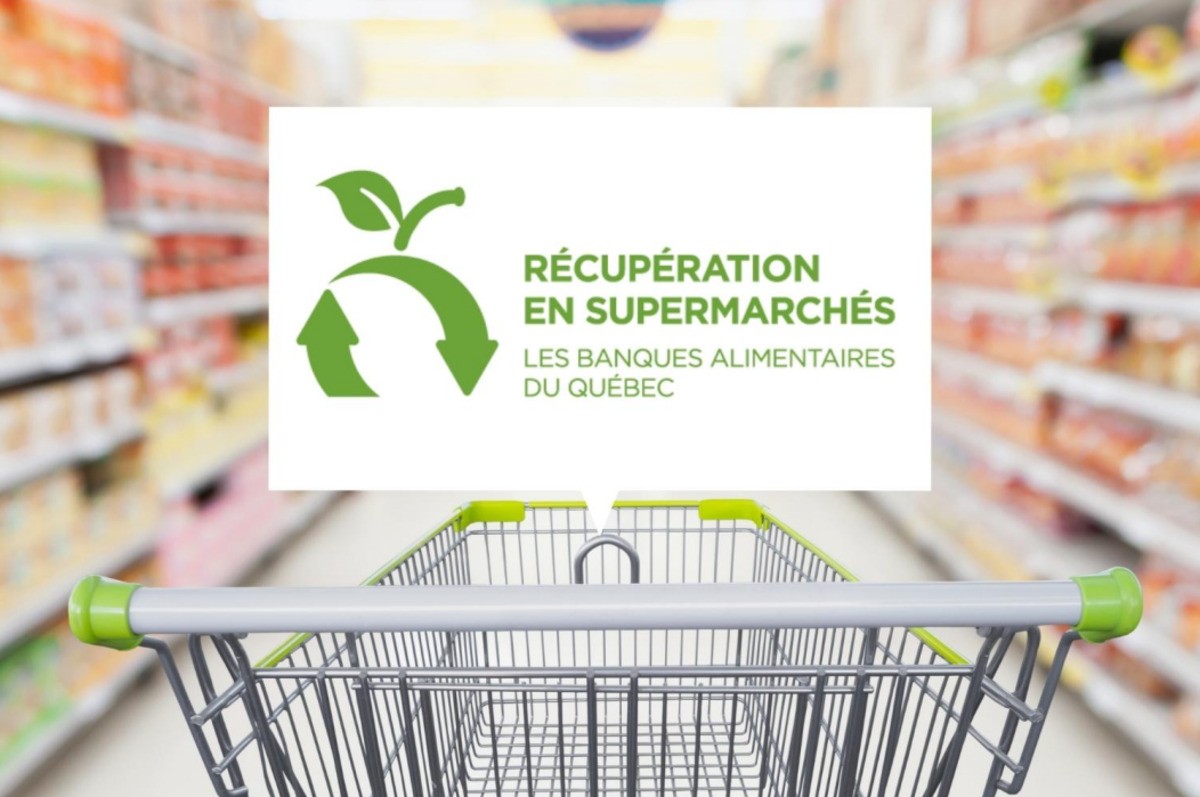 Numérisation du programme de récupération en supermarchés des Banques alimentaires du Québec