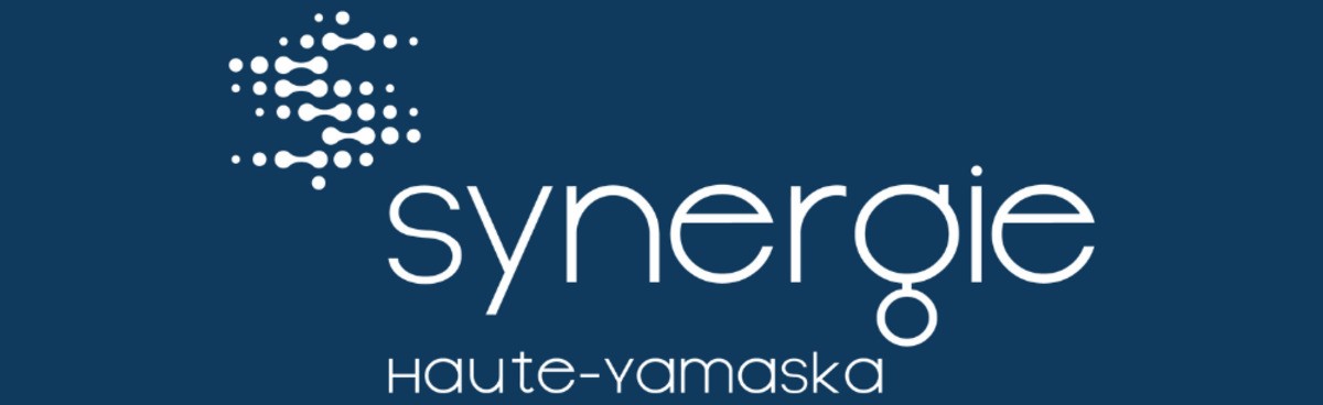 21 participants et 18 synergies potentielles lors du premier atelier de maillage de Synergie Haute-Yamaska