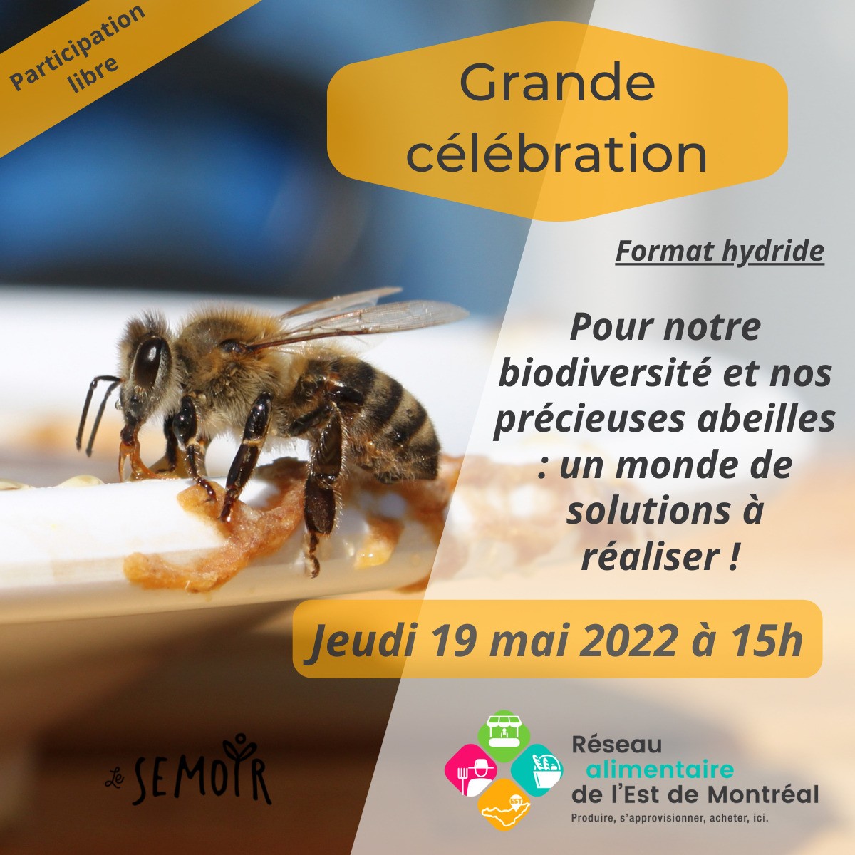 Grande célébration de notre biodiversité et de nos précieuses abeilles !